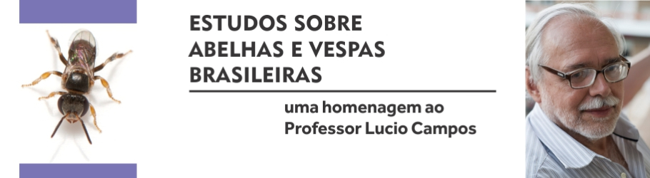 Livro celebra os 75 anos de idade e 50 anos de vida acadêmica do Prof. Lucio Campos